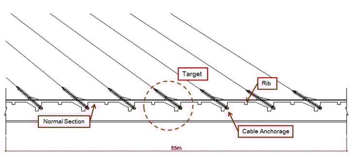 Longitudinal view of Target Model